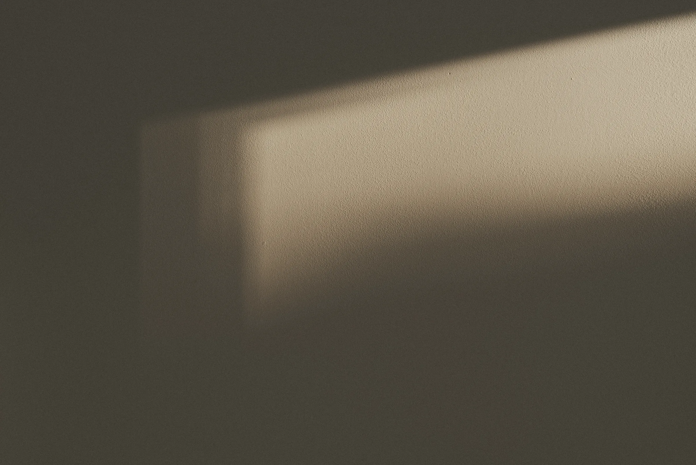 Shadow
