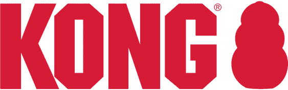 kong company logo