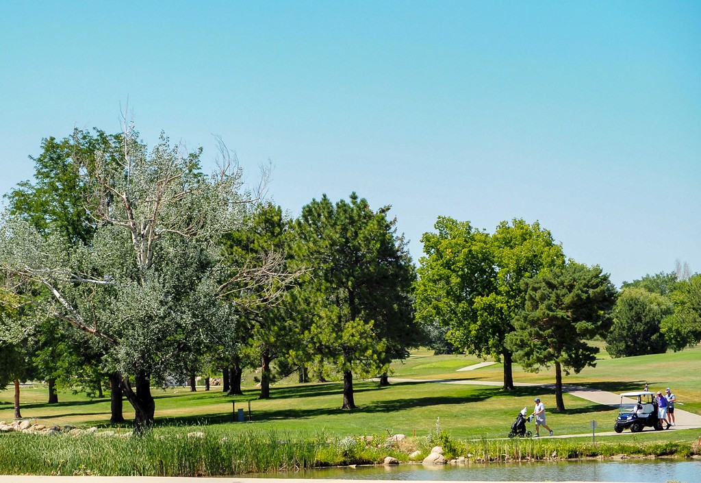 A grassy golf course shaded by mature trees in North Loveland.