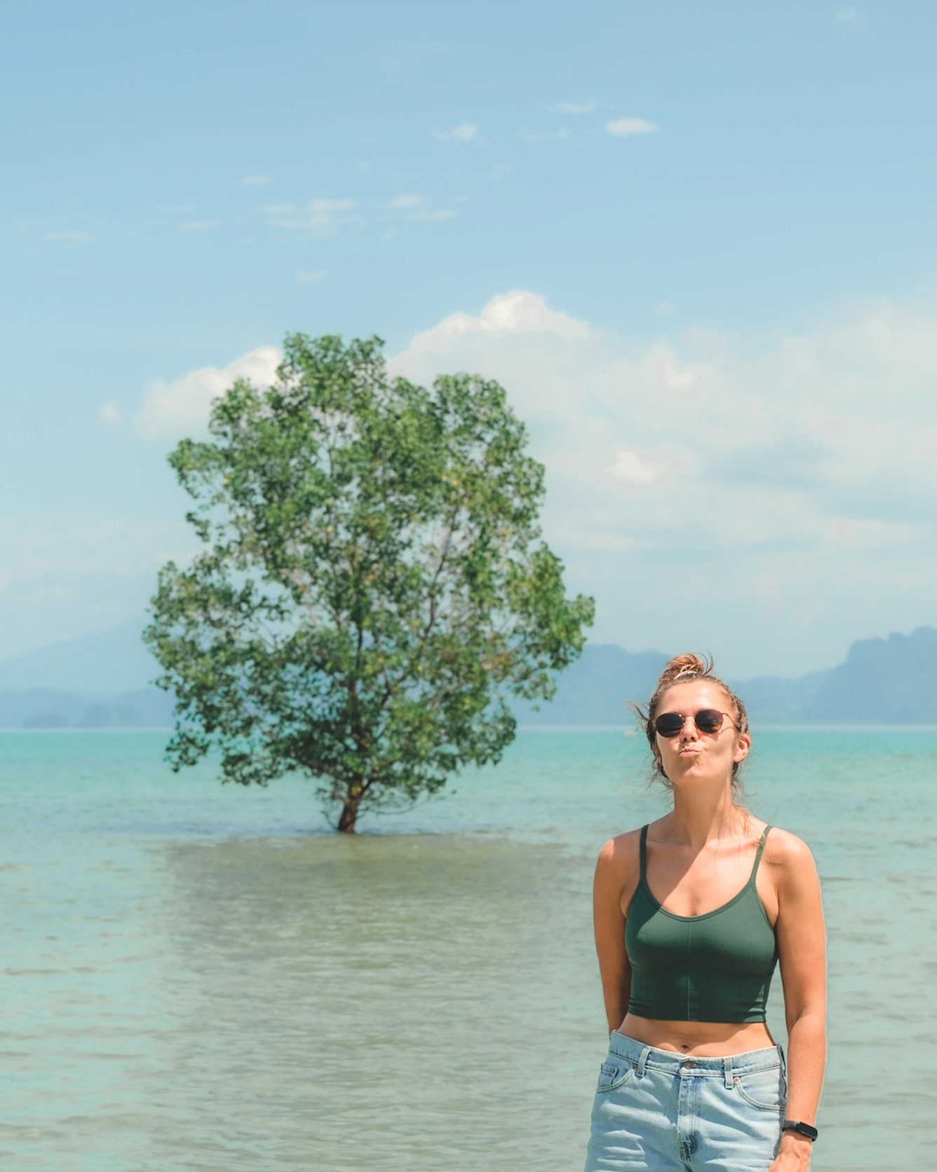 standing in shallow coastal waters with a mangrove tree in the background.
