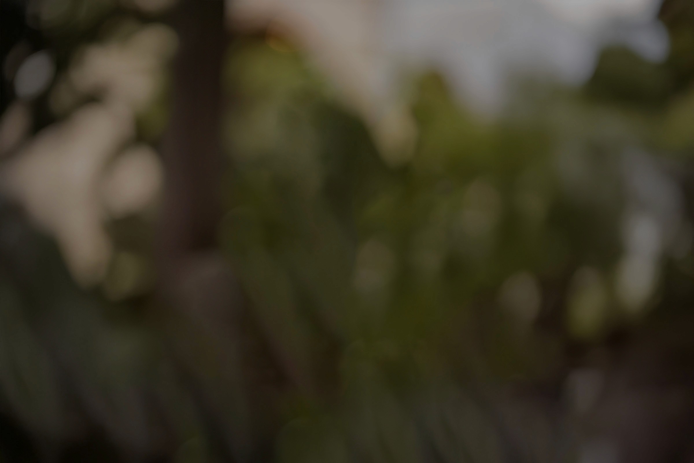 Fashion photoshoot with a woman posing in a dress