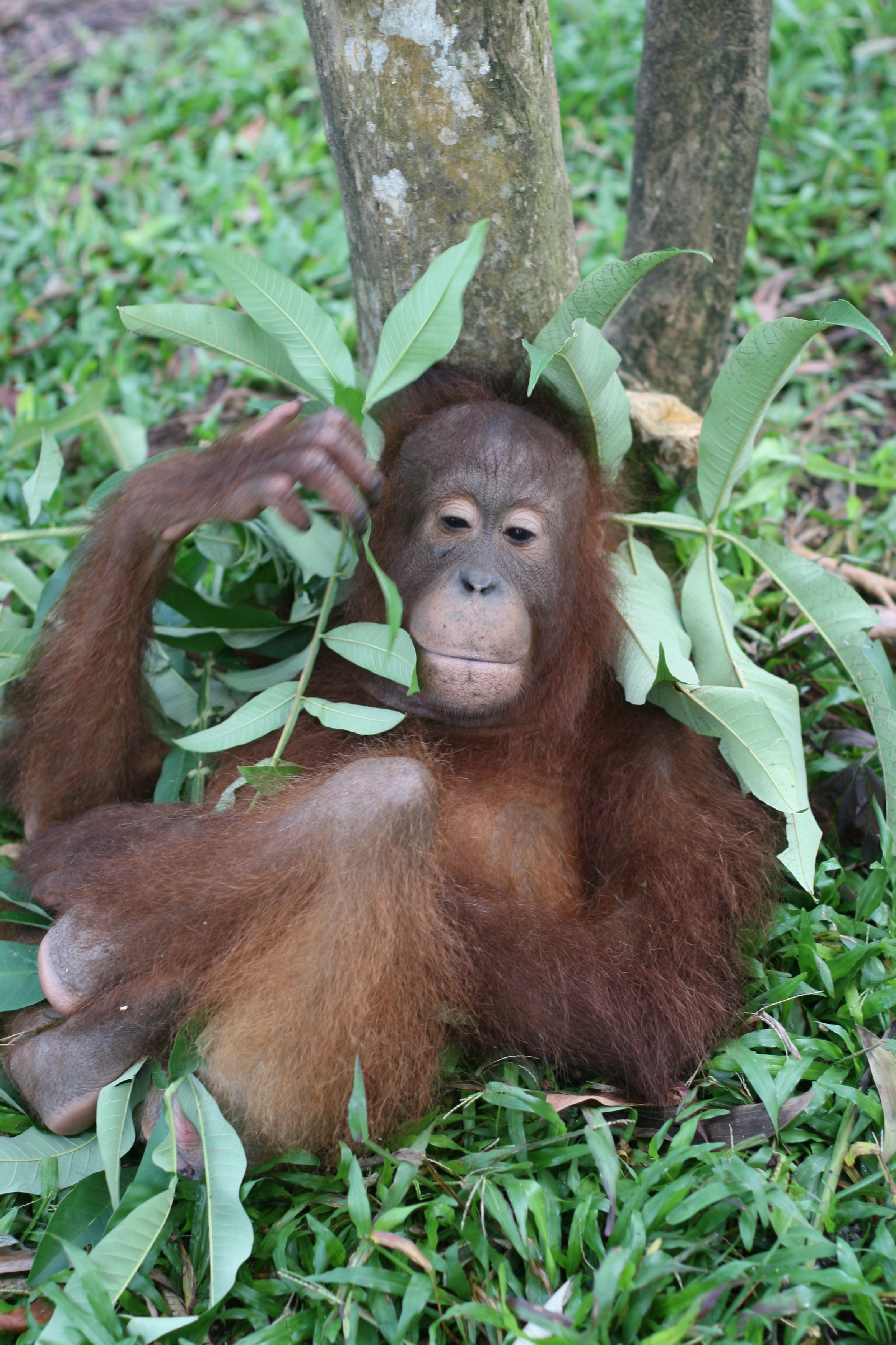 Hannes Jaenicke mit einem lokalen Tierschützer vor konfiszierten Schildkrötenpanzern – Einsatz gegen illegalen Wildtierhandel.