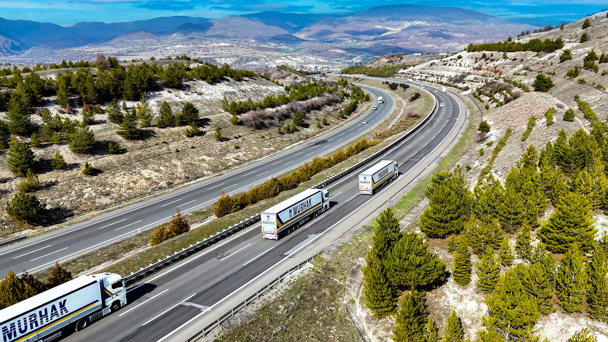 Mobile alert notification