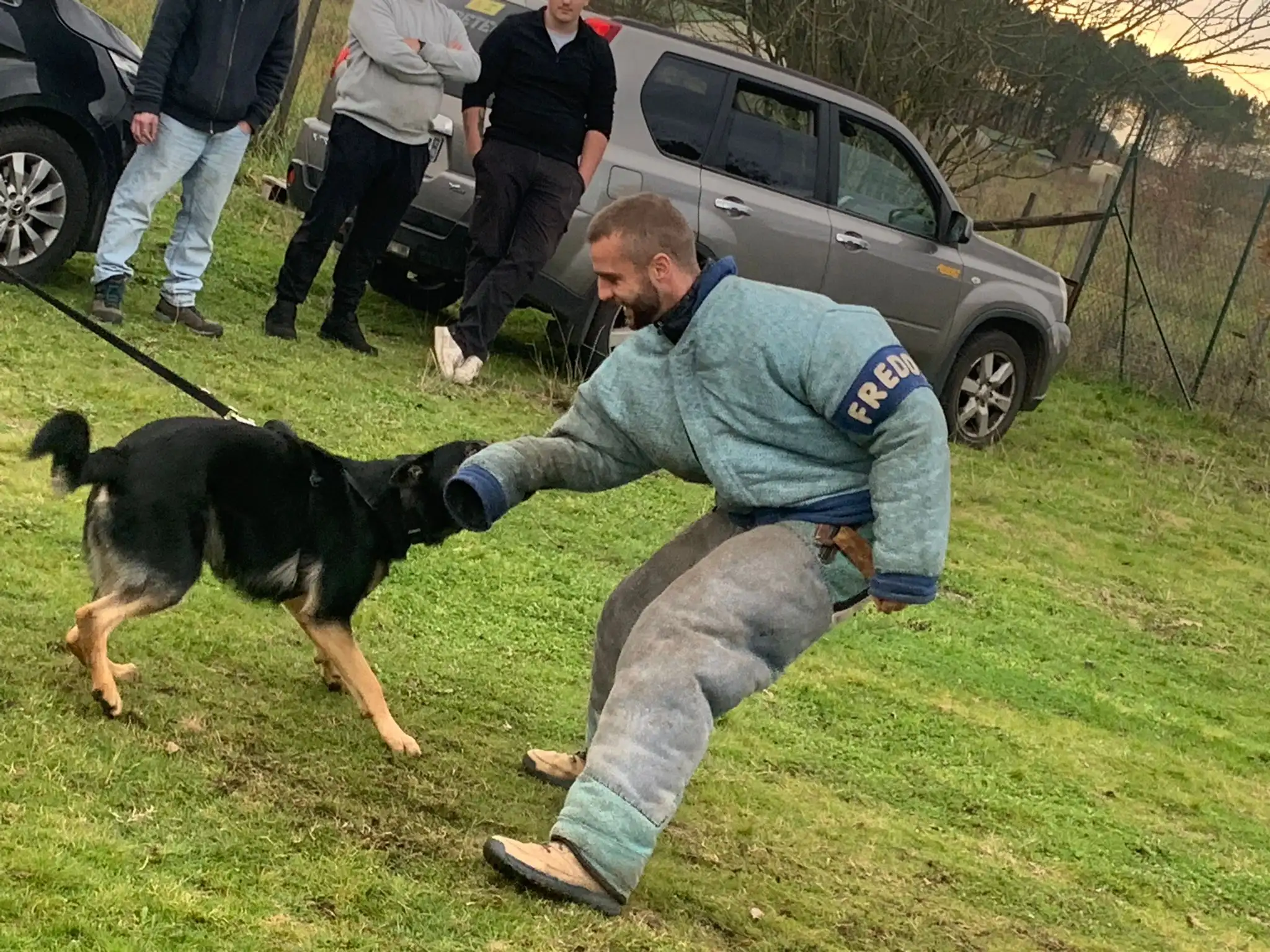 L'educateur en scéance de mordant au costume avec un berger allemand de travail