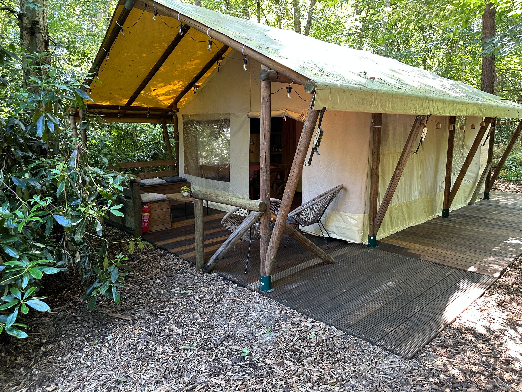 Bosgenot tent en omgeving
