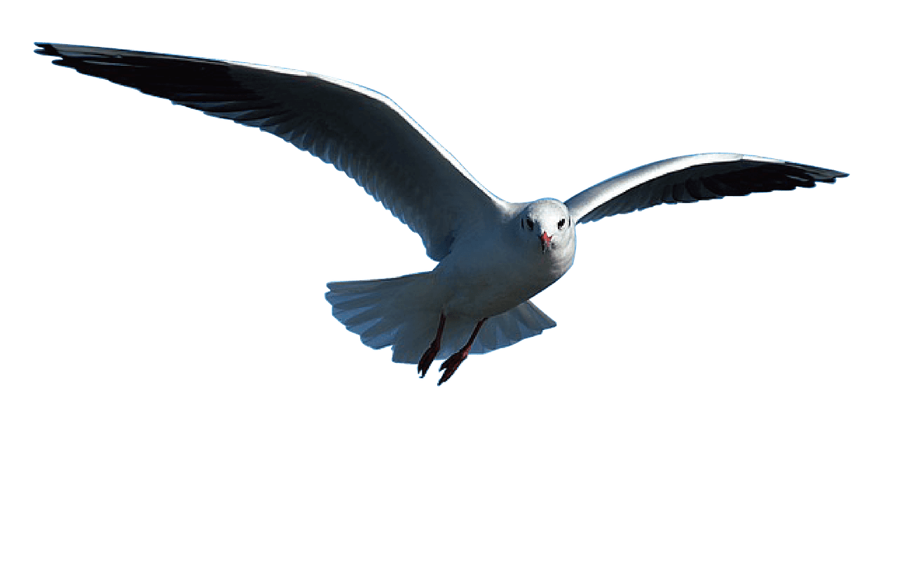 Girl with a bright white smile