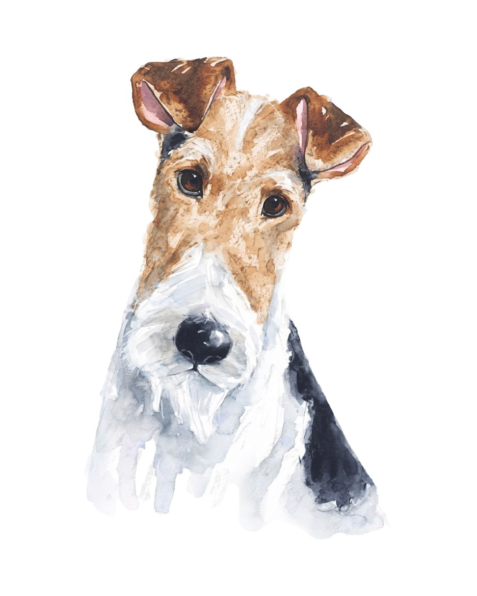 Watercolour painting of Fox Terrier