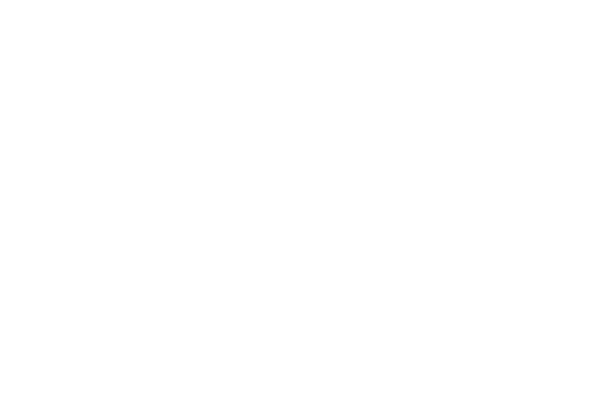 Logo for an imagined company