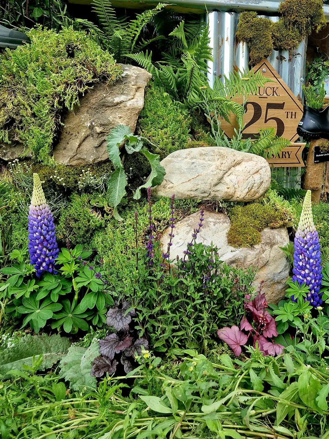 Lush garden scene featuring green foliage, rocks, and purple flowers, with a glimpse of a structure in the background.