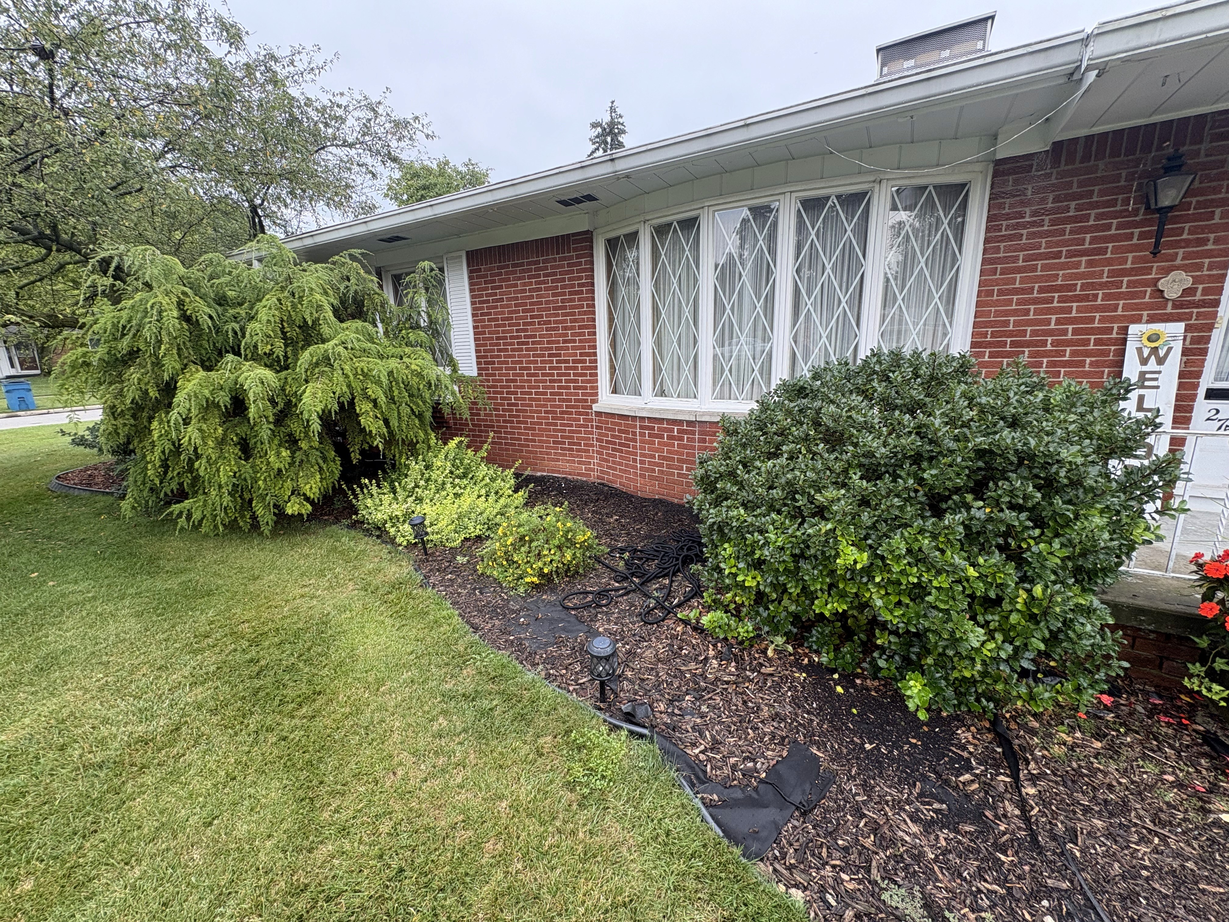 Original condition before documented tree trimming and bed refresh