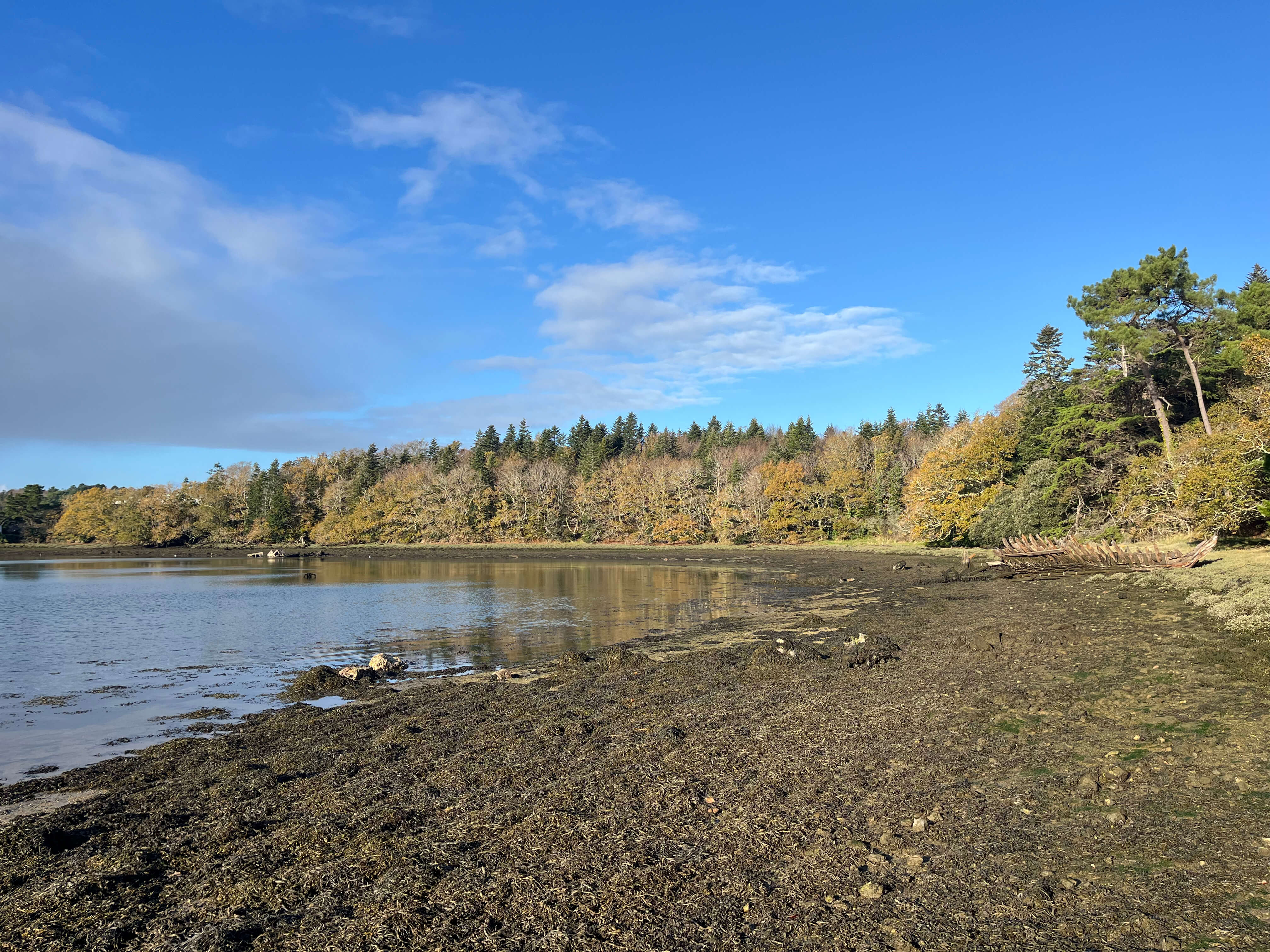 Fly fishing seabass flats Brittany France