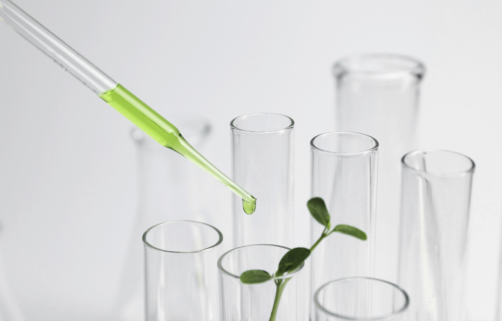 Test tube with a green solution being placed using a pipette, while a small plant grows in another test tube.