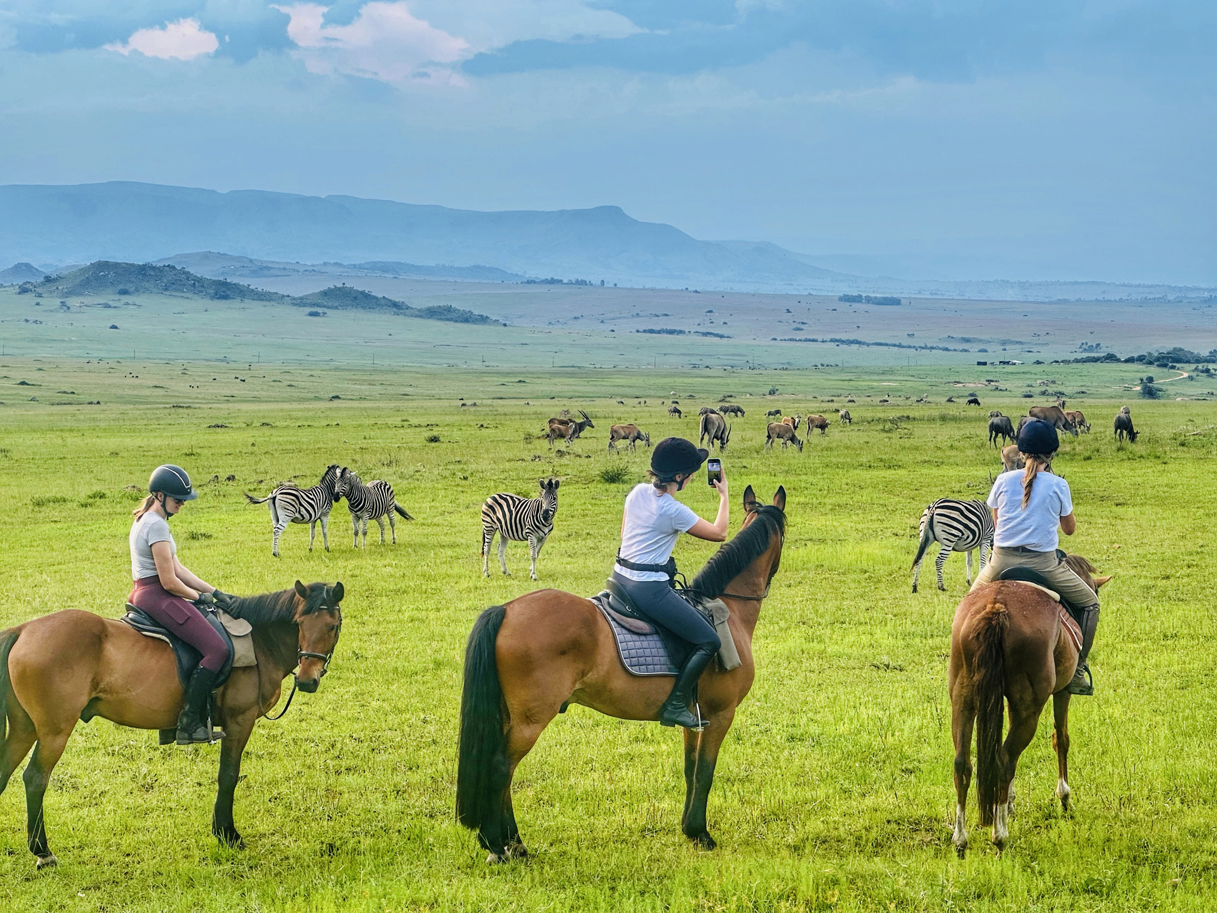 Fyra ryttare på safarihästar rider i lugnt tempo över de gröna slätterna i södra Serengeti, omgivna av gnuhjordar under the great migration.
