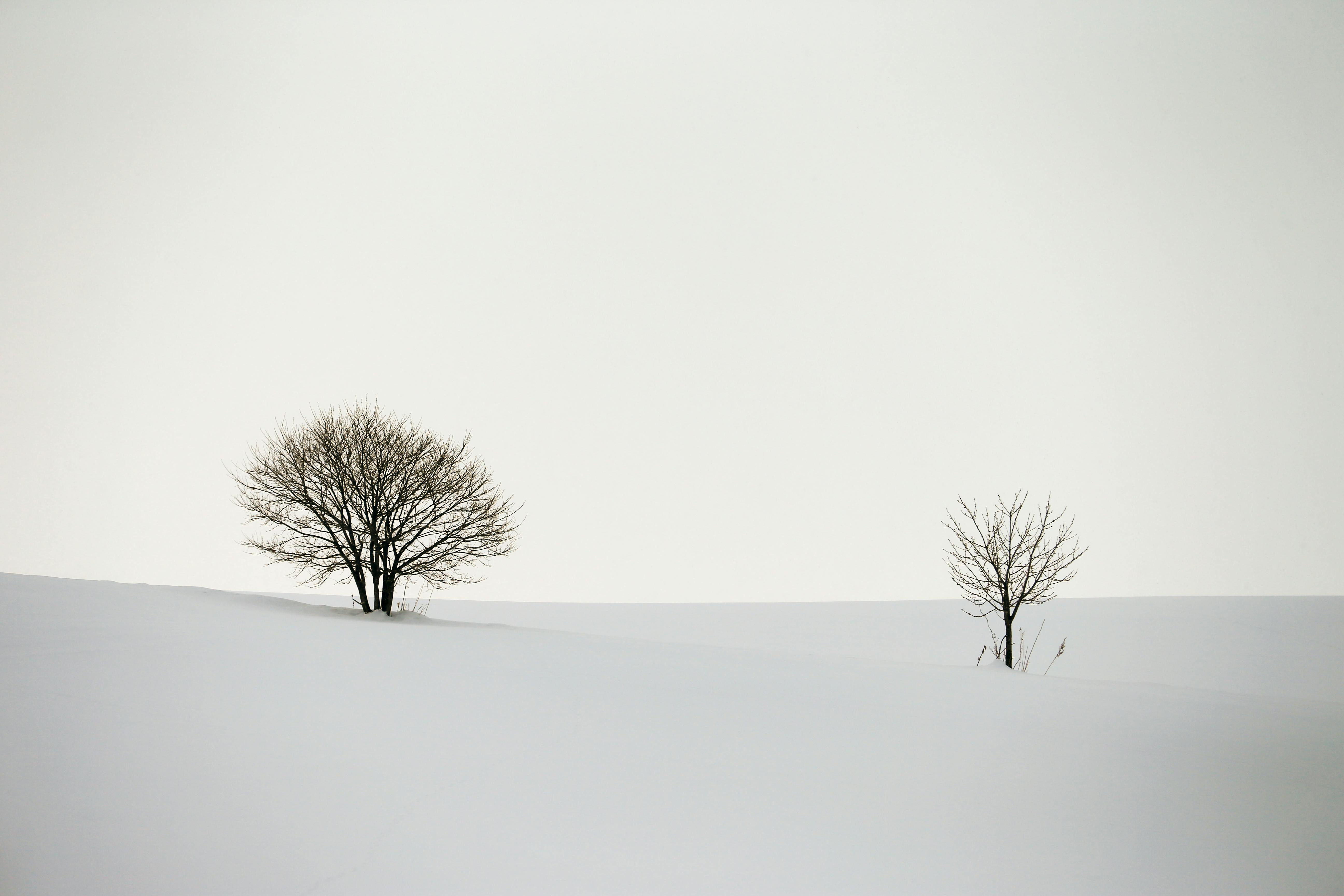Man Wearing Sunglasses