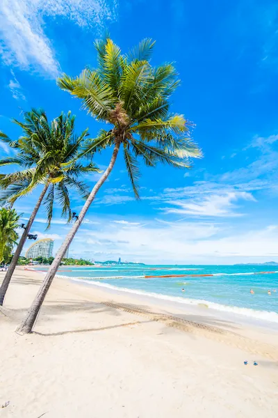 Praia tropical com coqueiros e mar azul cristalino