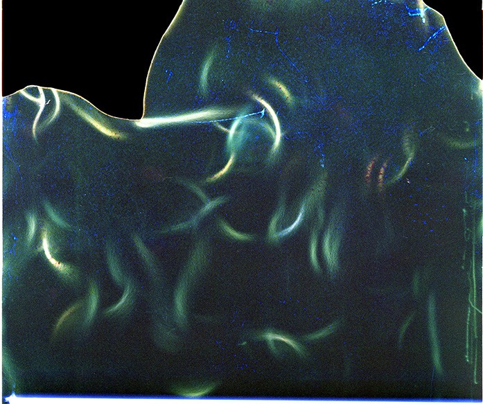 Immersive digital field exploring synthetic memory and layered perception.