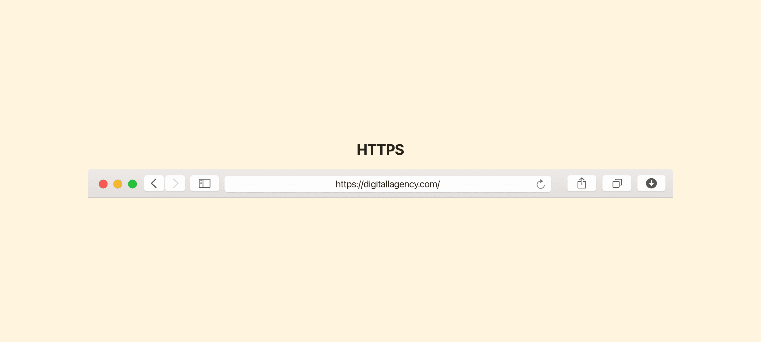 HTTPS Search Bar Illustration