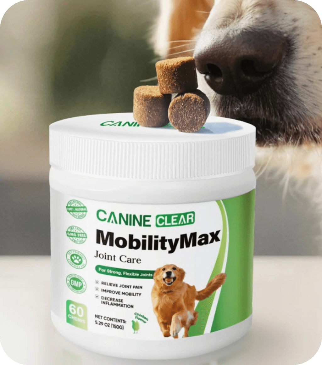 dog smelling dog food