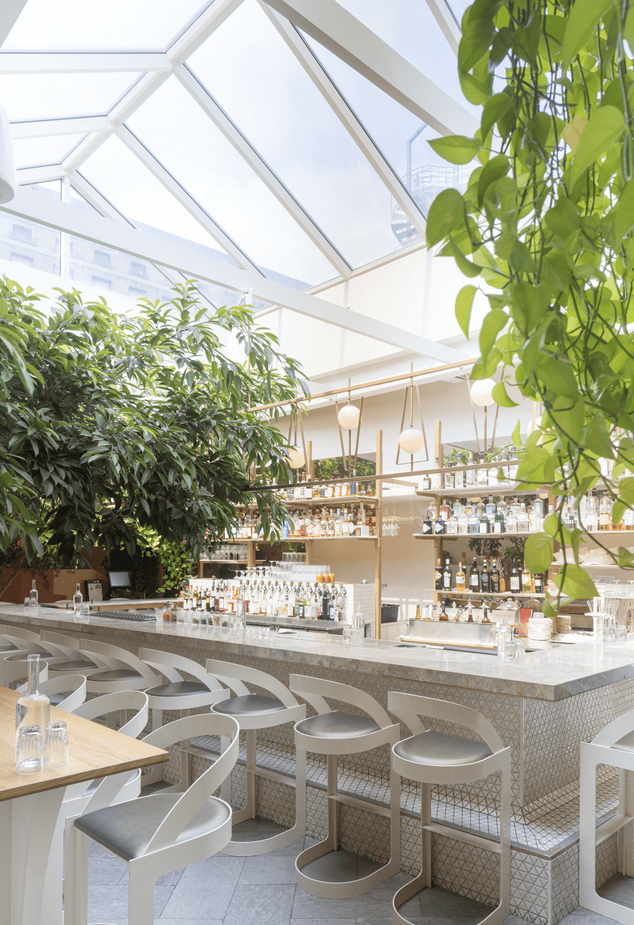 A well-lit, modern bar with a glass ceiling, abundant natural light, and lush green plants hanging from above, offering a fresh and inviting ambiance for guests.