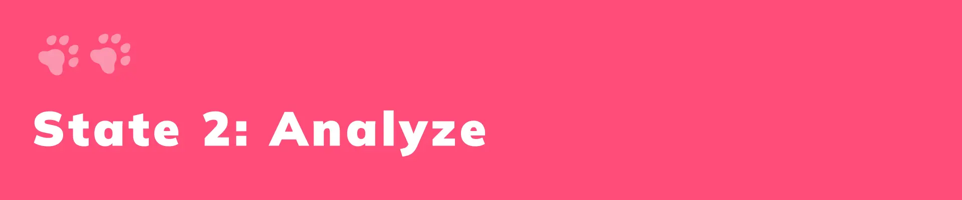 state 2 analyze UX UI Case Study Hapi Pet - Nguyen Tan Toan Product Design