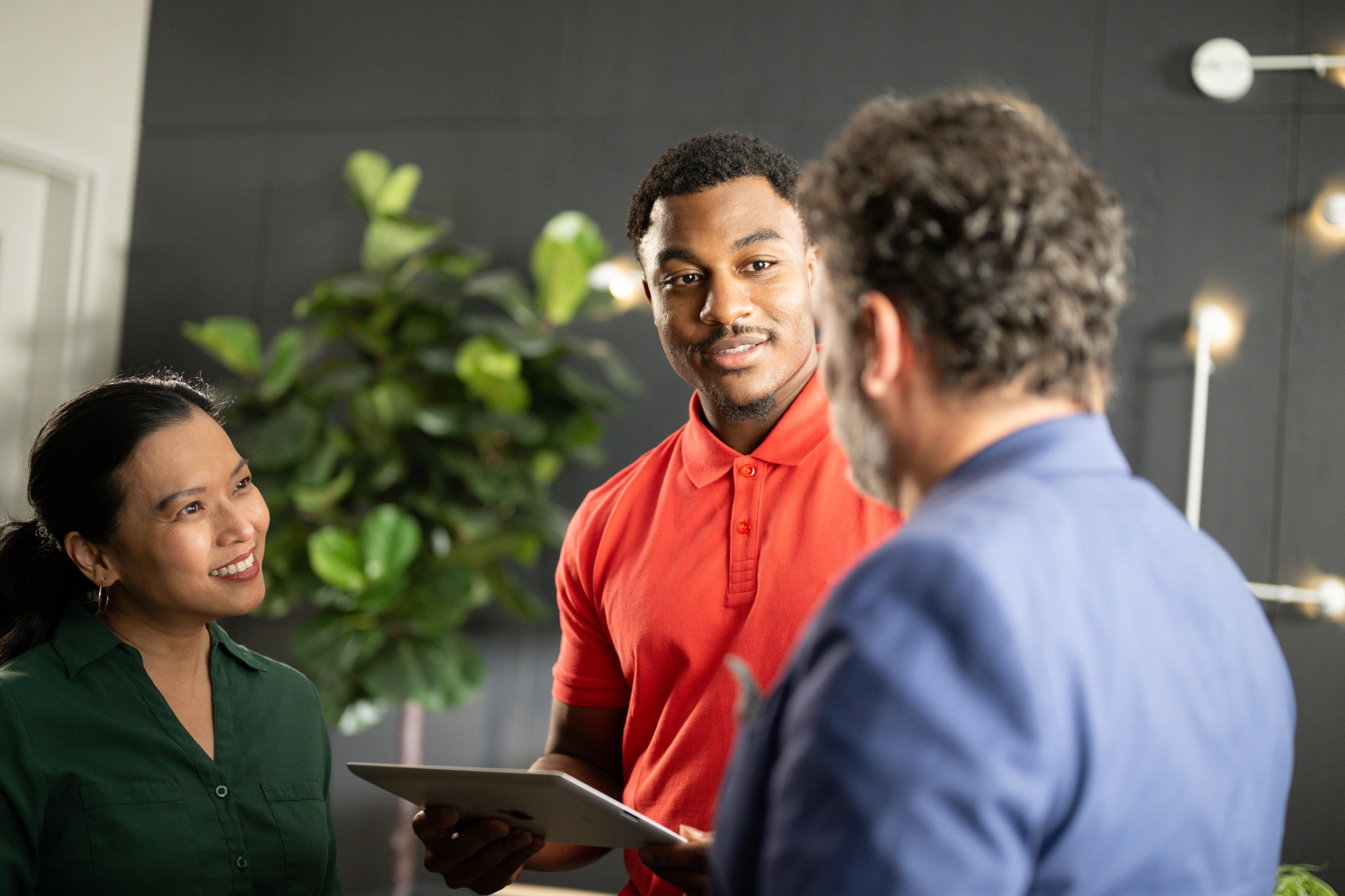 Dom Pérignon vineyards from the sky