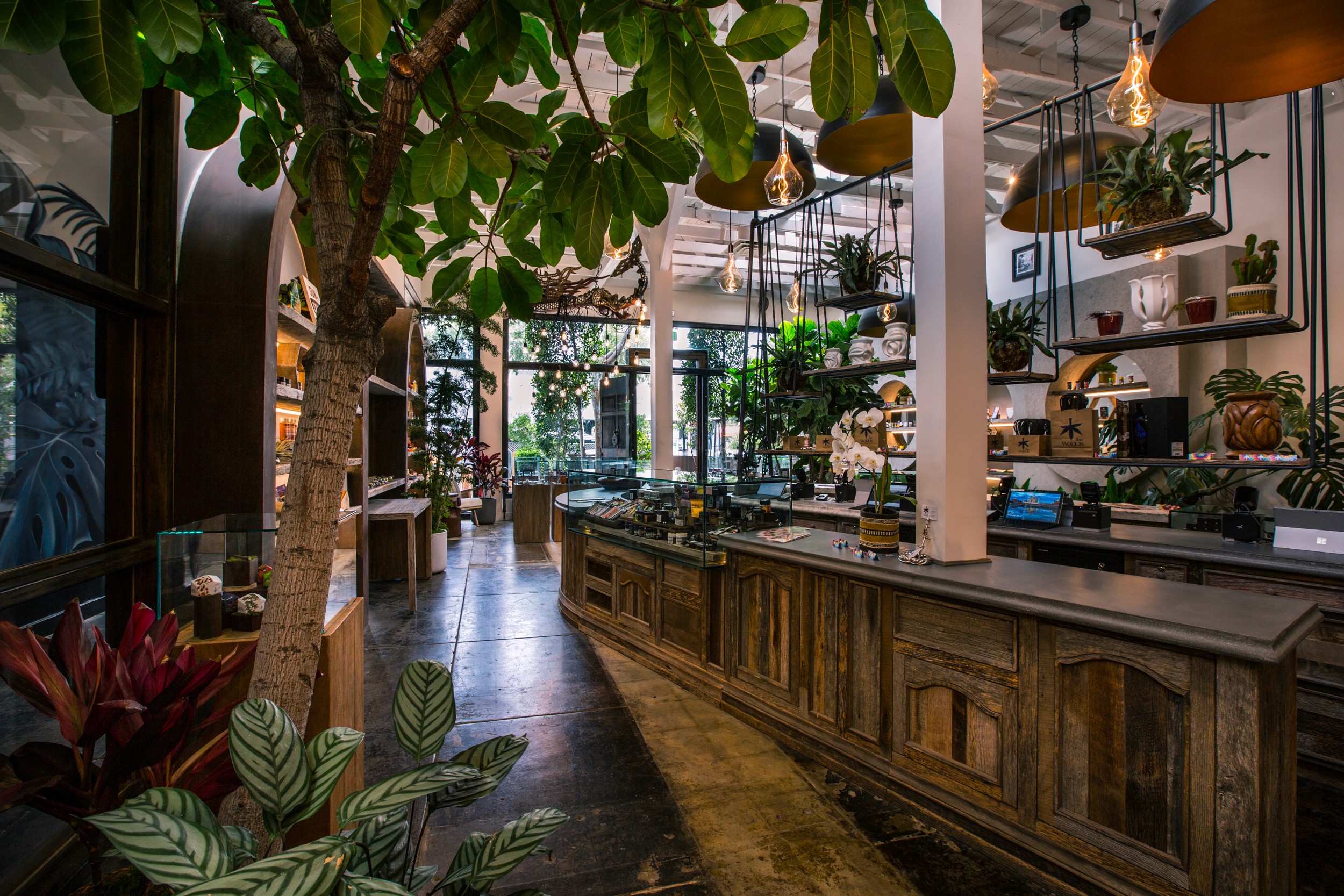 View of the first hall immediately after entering The Woods WeHo dispensary.