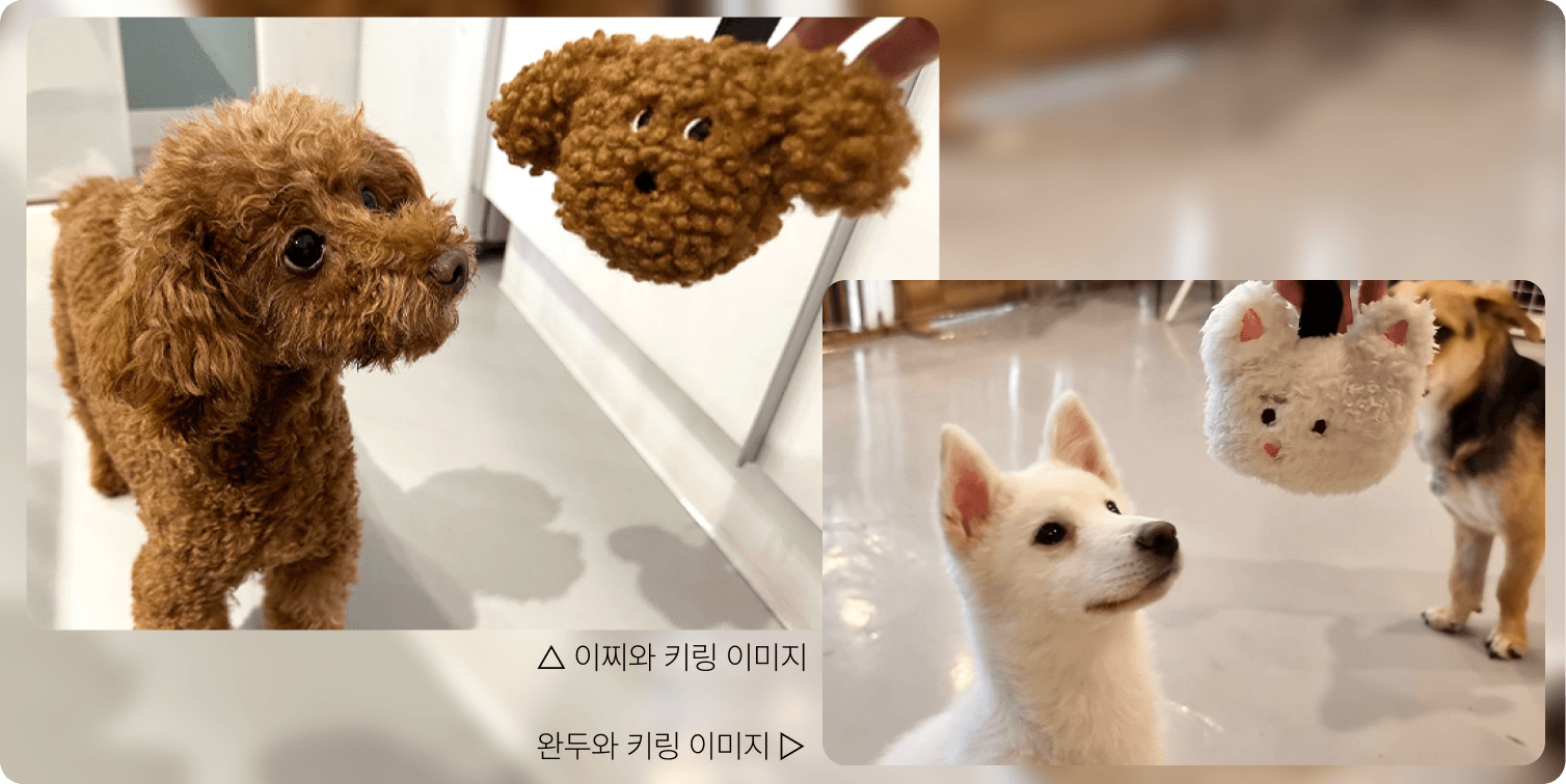 품종이 아닌 이름으로, 오구데이 키링과 모델 '완두'&'이찌'