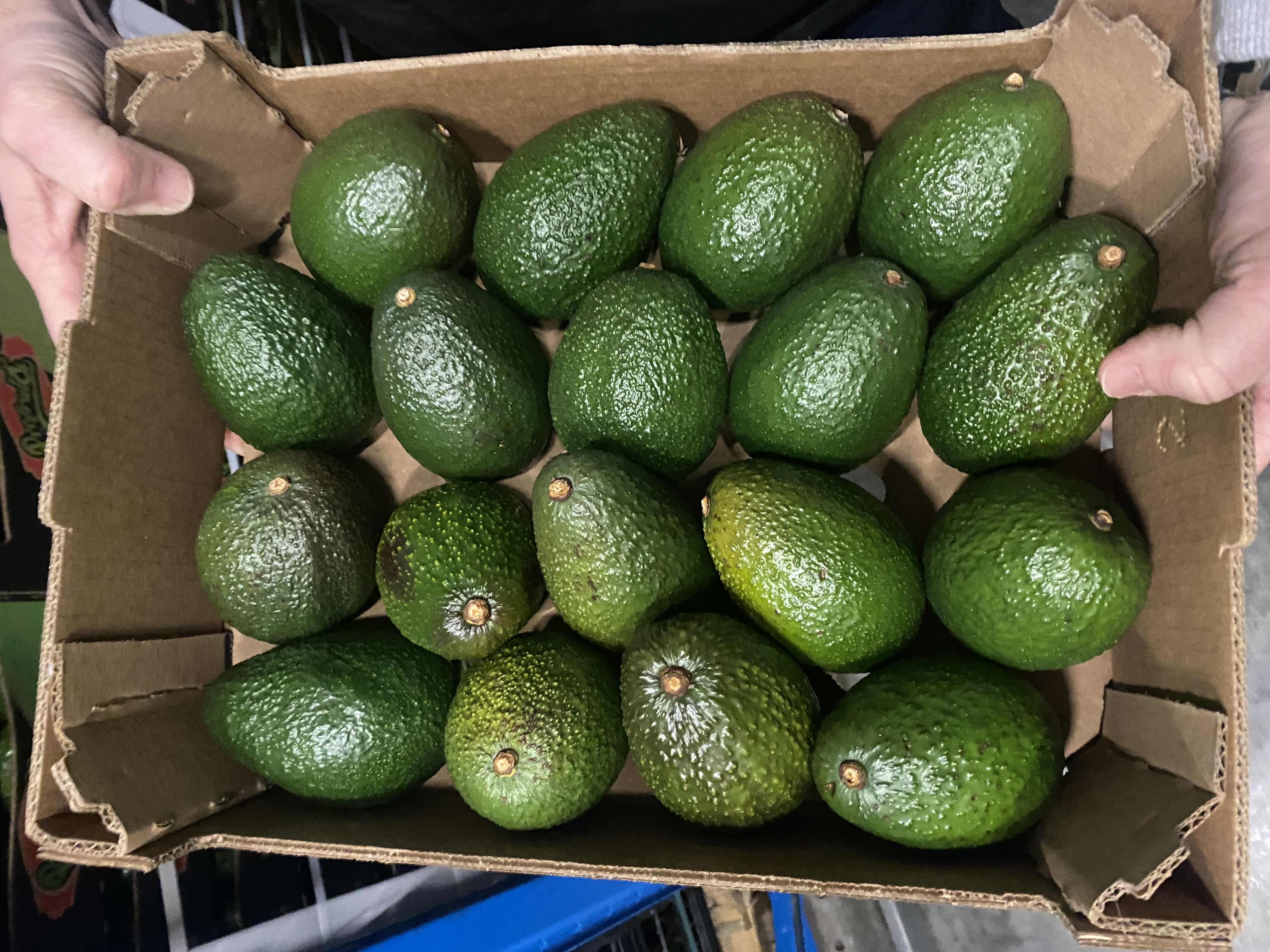 The image featured at the top of the about us page #1