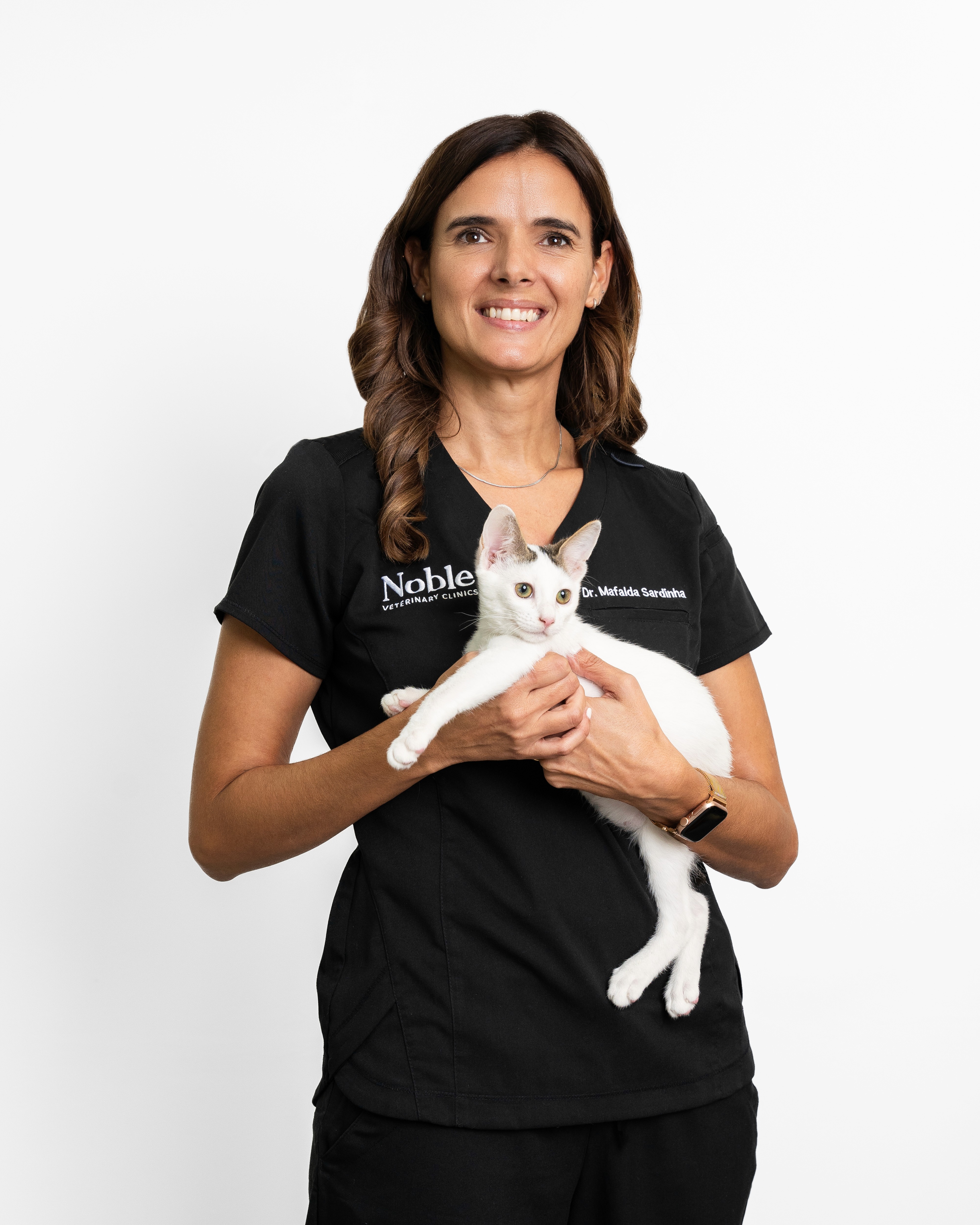 Dr. Soheyl Simaei | Head Vet