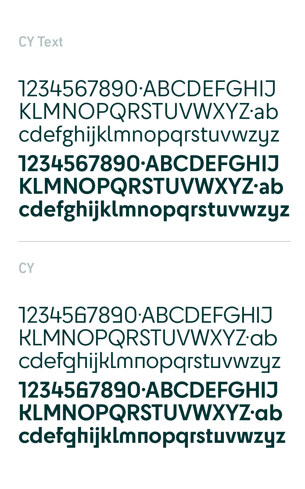 spora-insights-novamarca-10