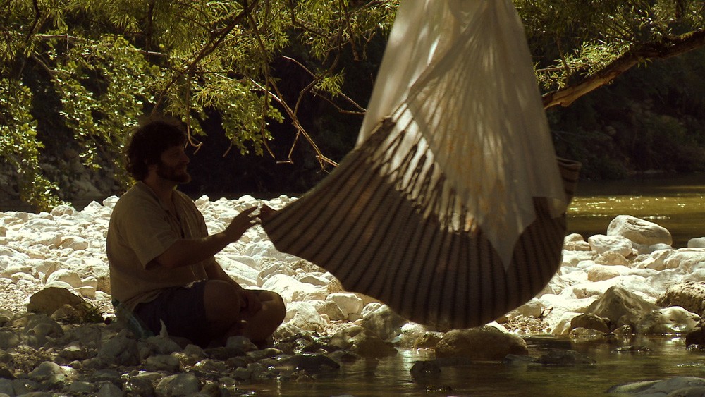 Into the wild
