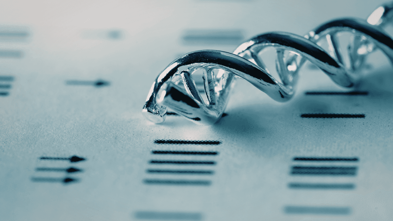 Bioinformatics careers