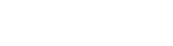 TempusTrans logo