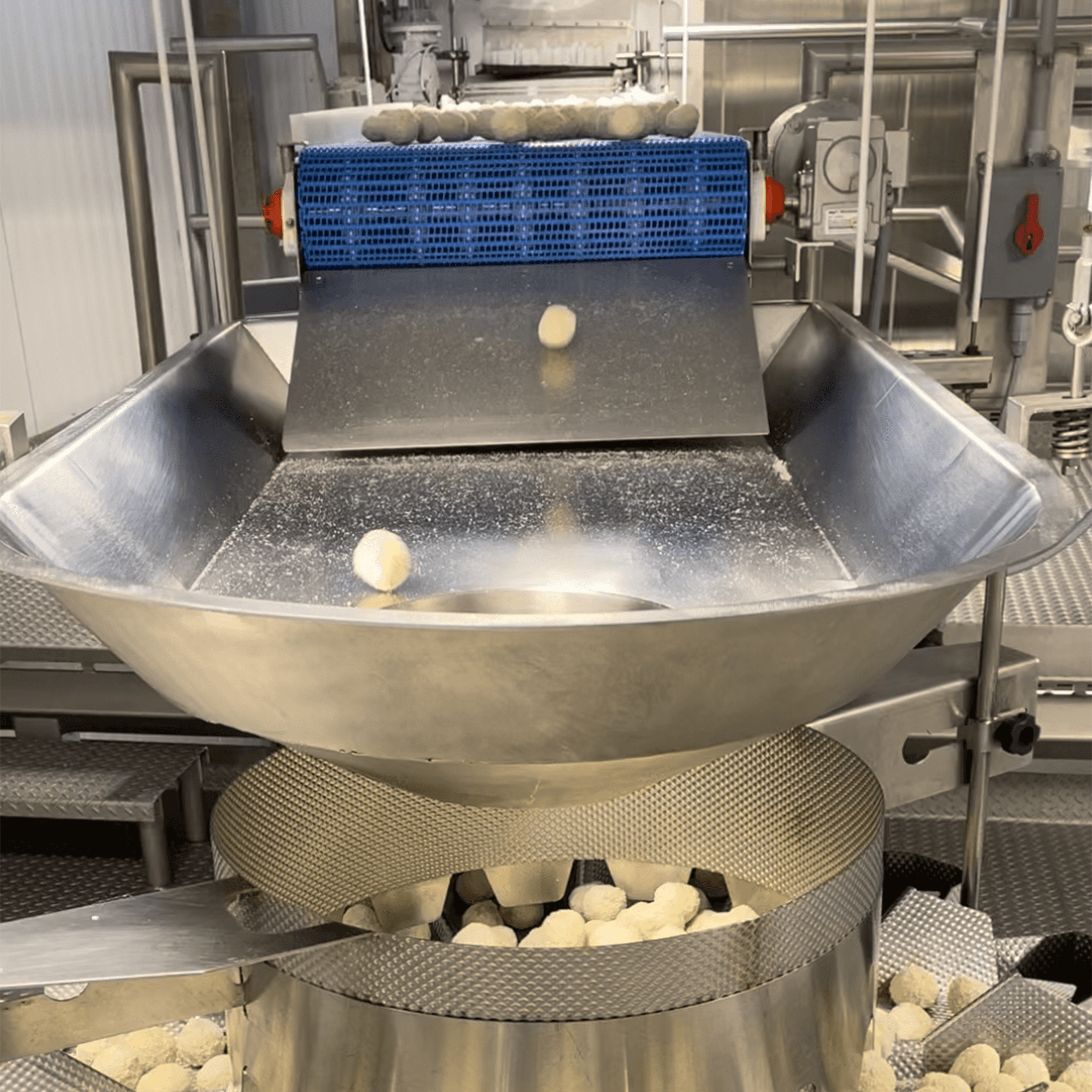 DiGrazzi production line