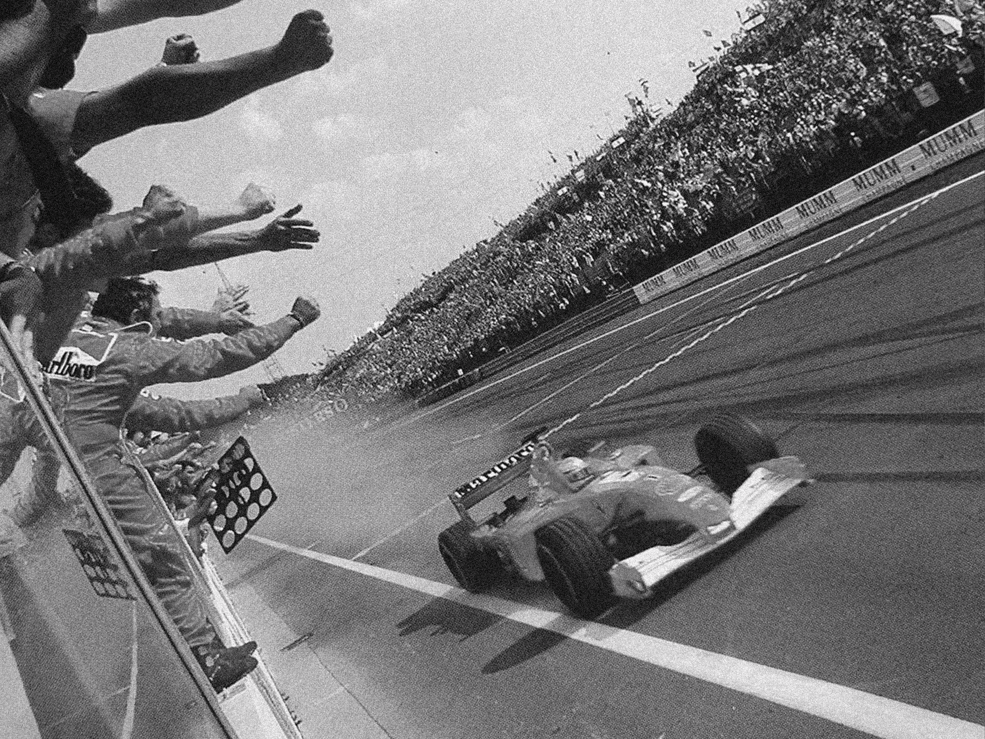 Abstract solo flower 