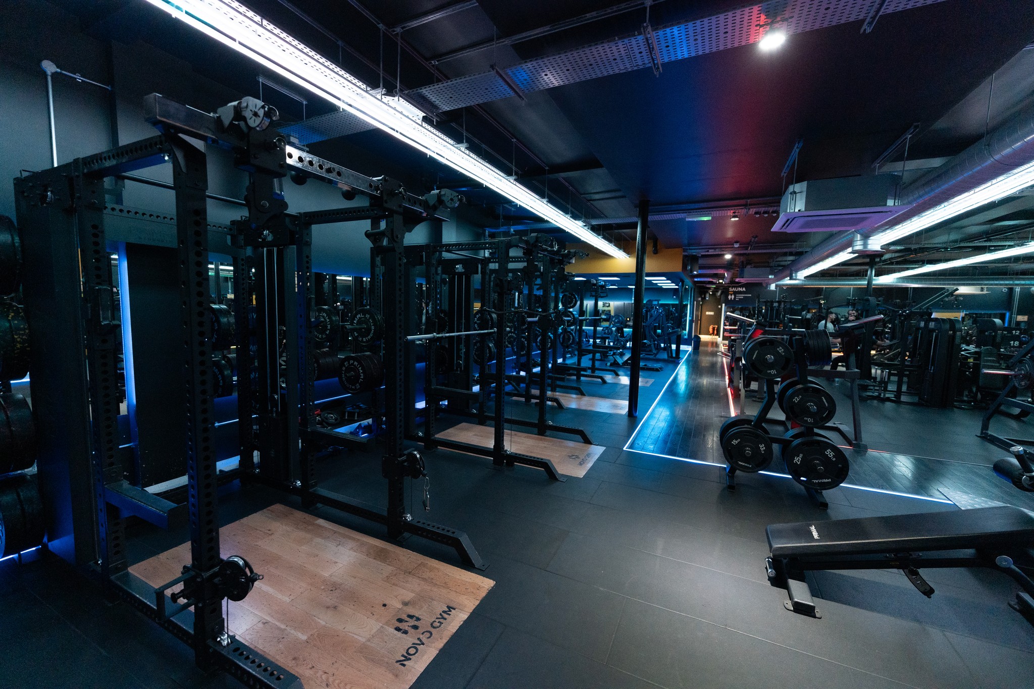 Gym Floor