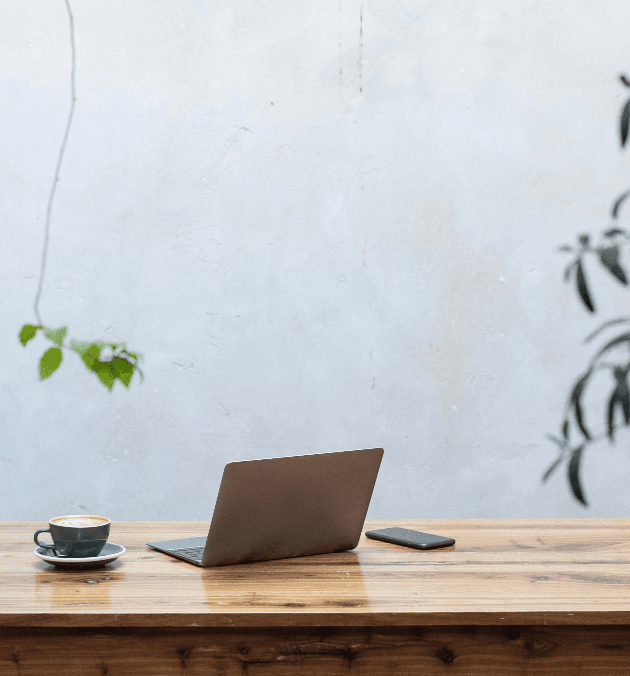 Geöffneter Laptop auf einem Holztisch mit einem Garten im Hintergrund.