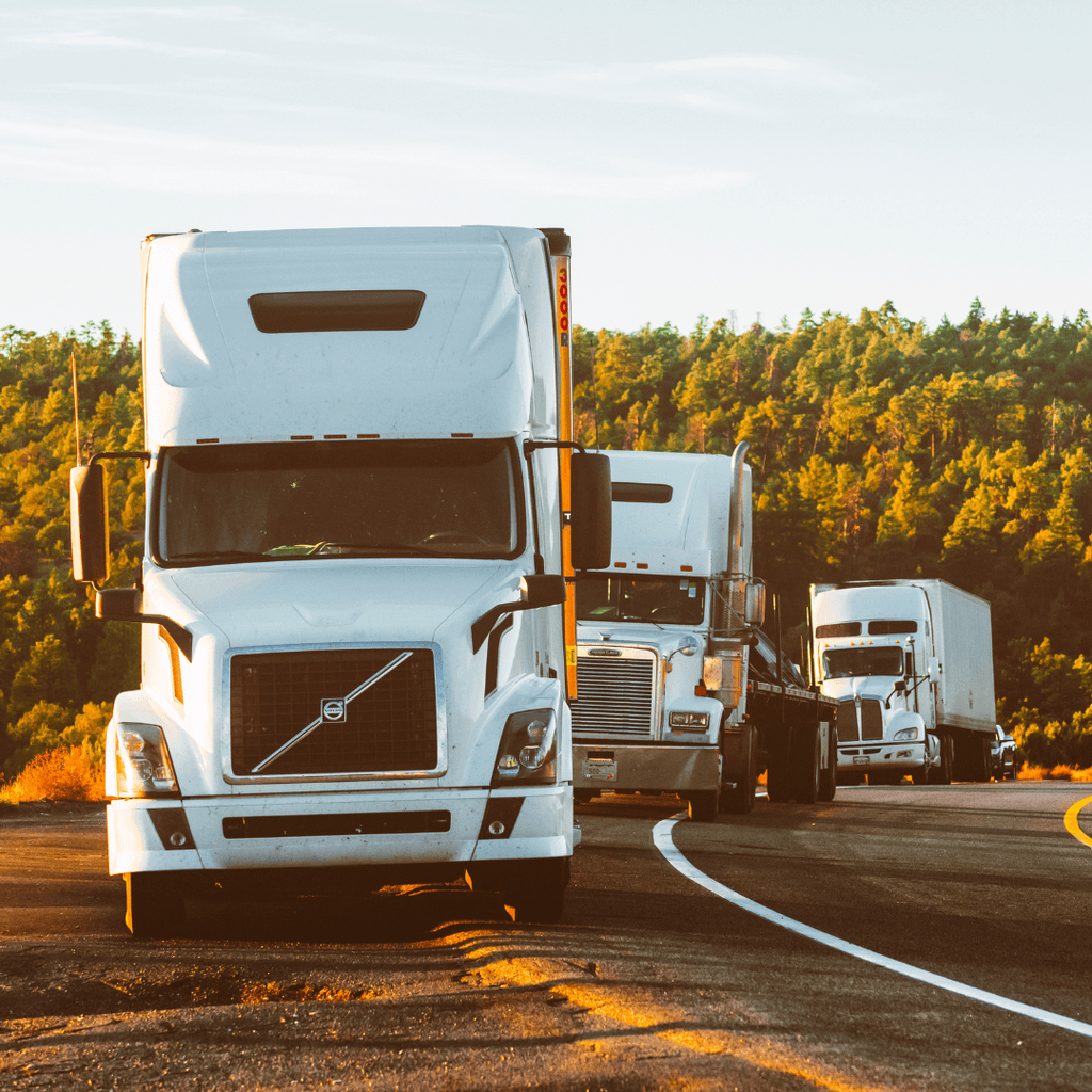 truck driver medical reports