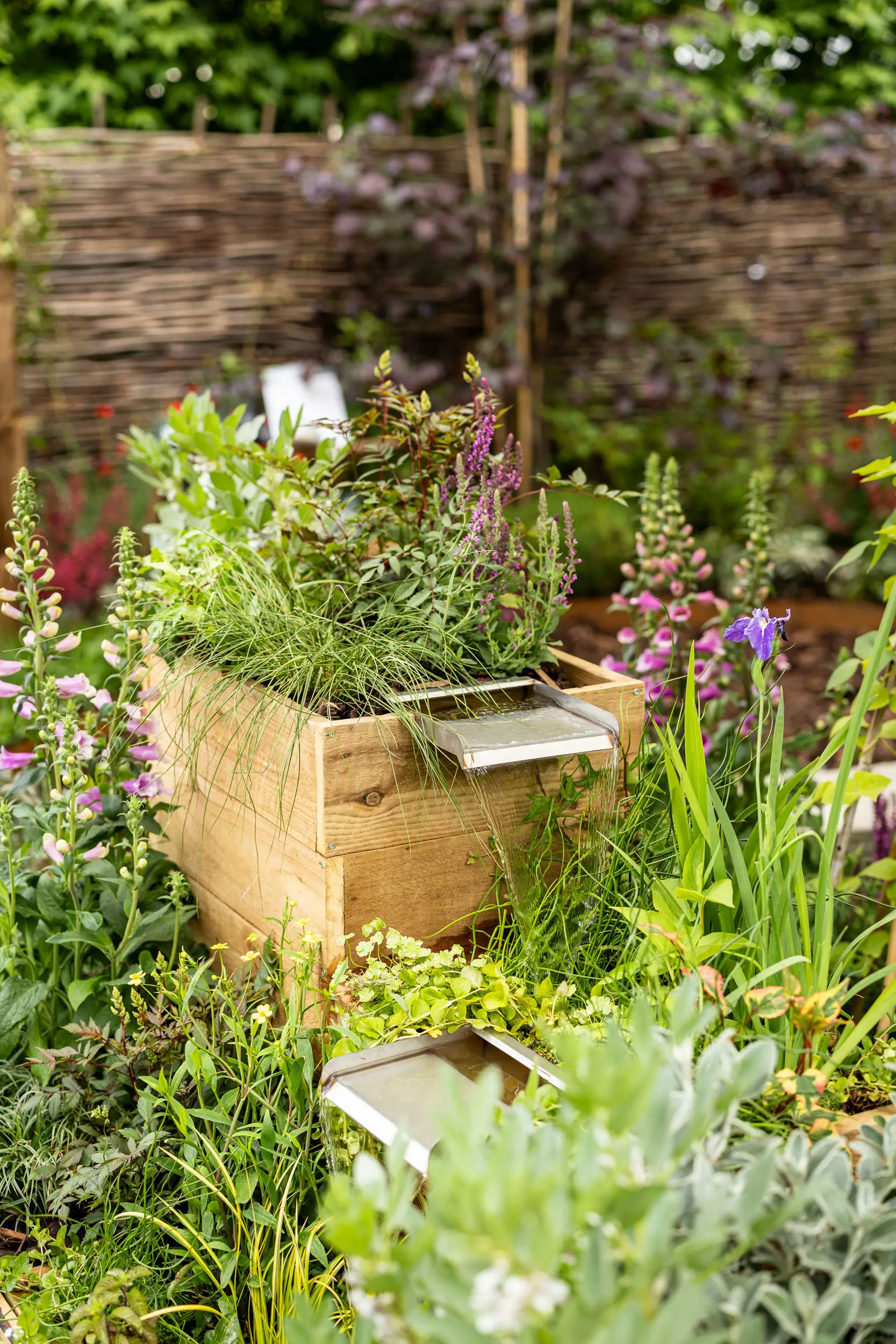 A woven basket filled with various green plants, surrounded by lush garden foliage.