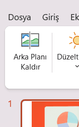 PowerPoint Resim Biçimi, Arka Planı Kaldır