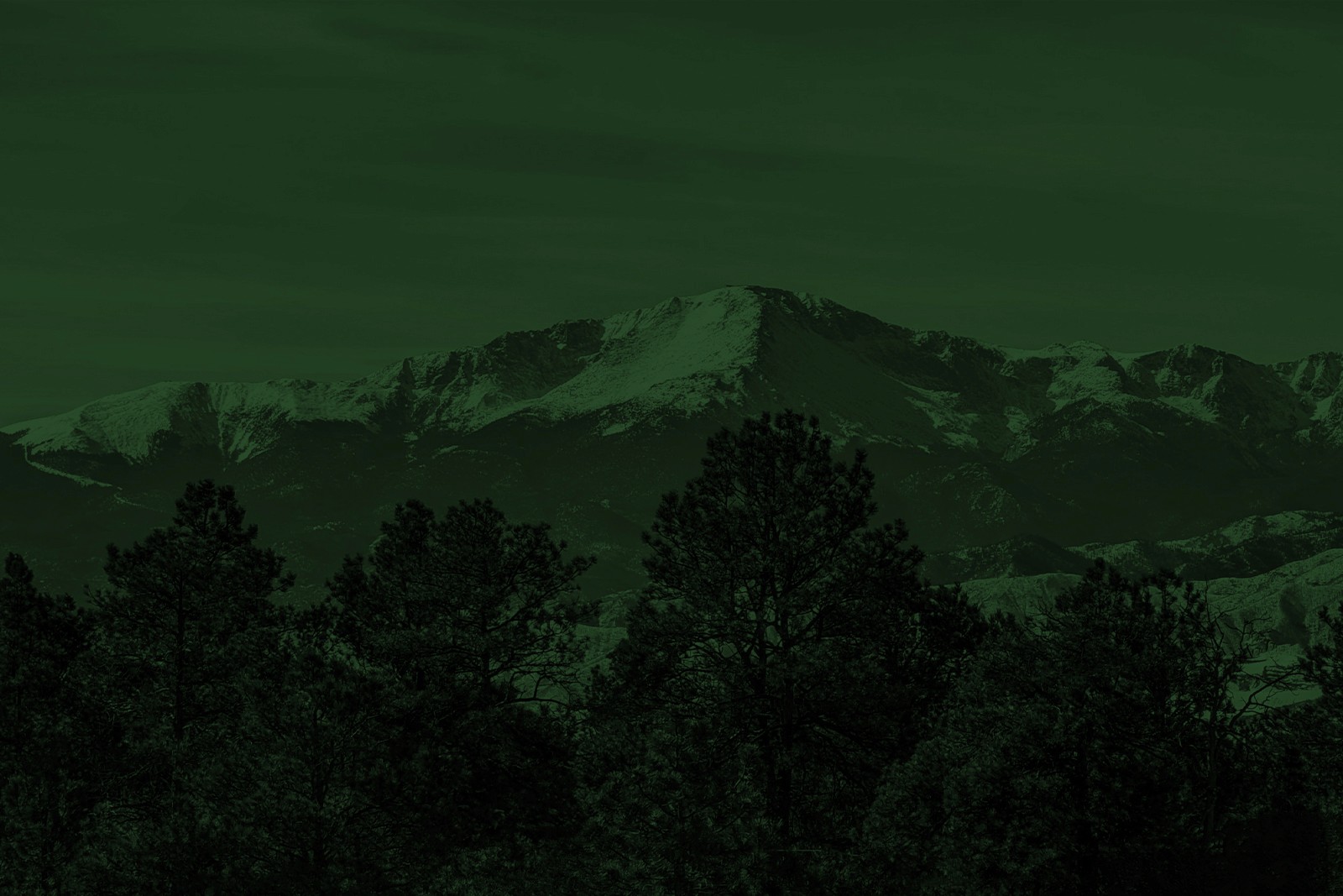 Streetside billboard with flyposters of the Batch.Works brand and illustrations