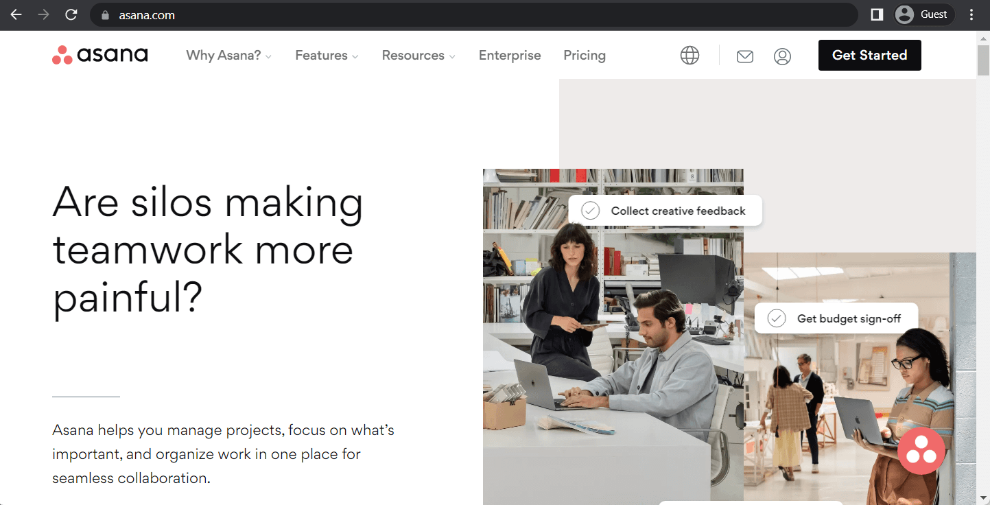 Asana landing page