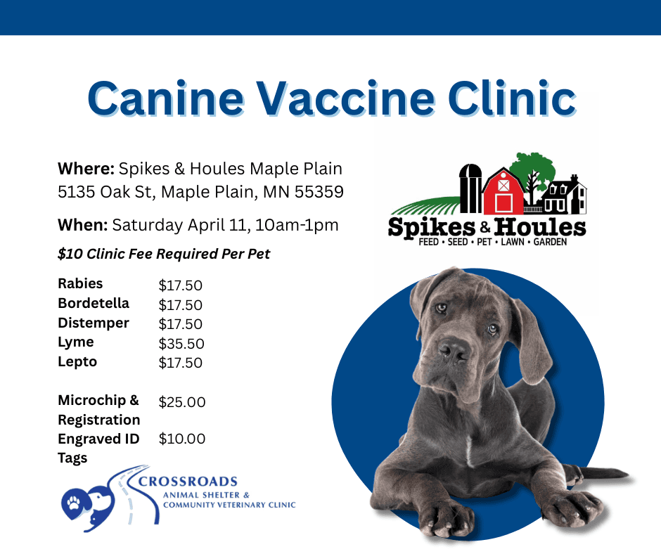 Small dog being held