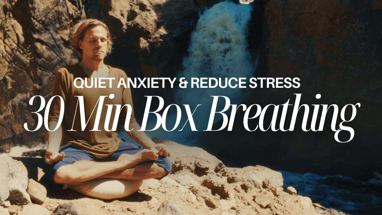  30 Min Box Breathing | Guided Practice to Quiet Anxiety & Reduce Stress