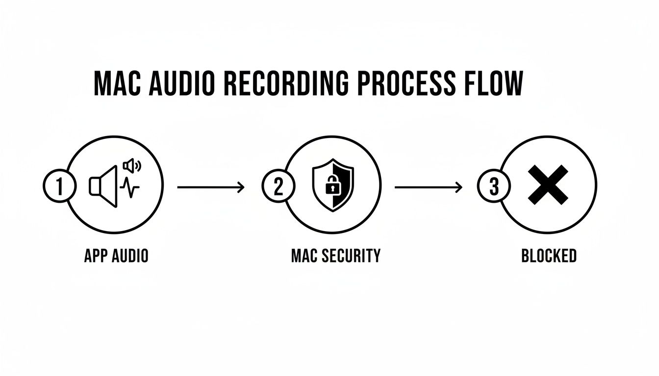 Flowchart illustrating the Mac audio recording process where app audio is blocked by Mac security measures.