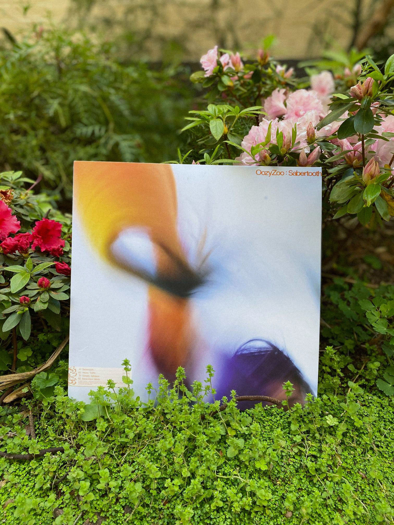 Oozyzoo: Sabertooth EP