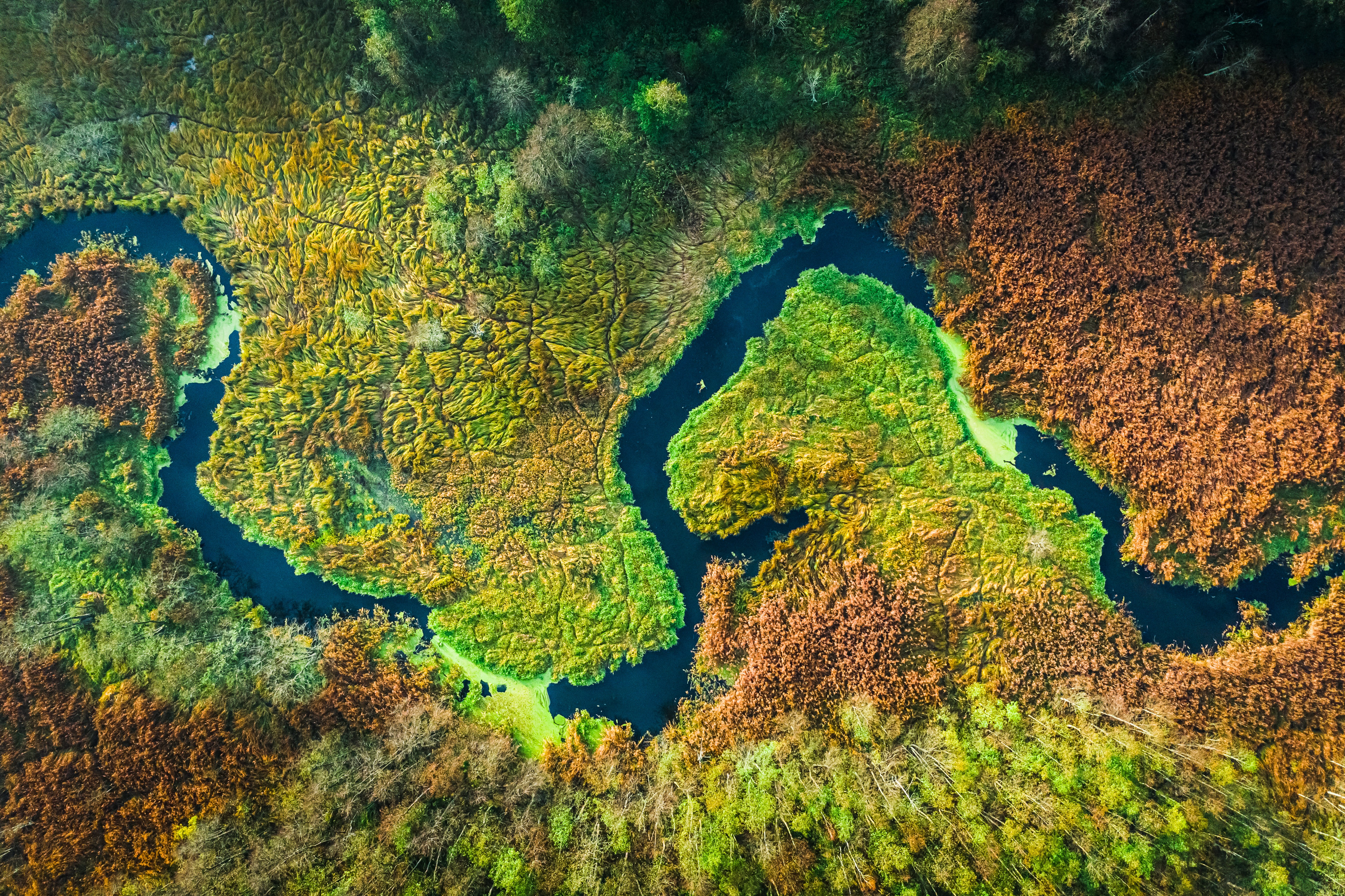 New guide: treat nature decline as financial risk