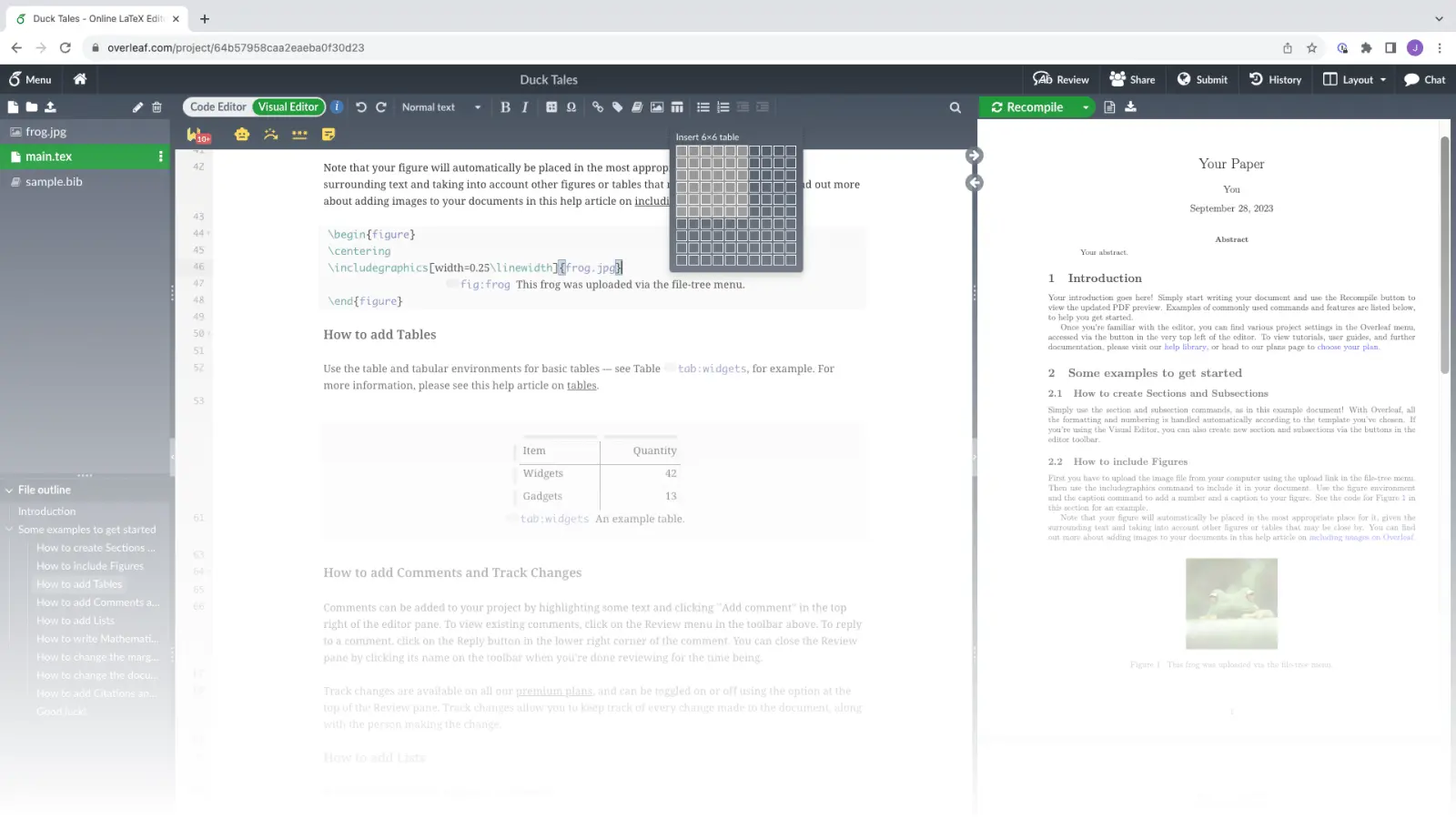 Overleaf LateX Example Document Screenshot
