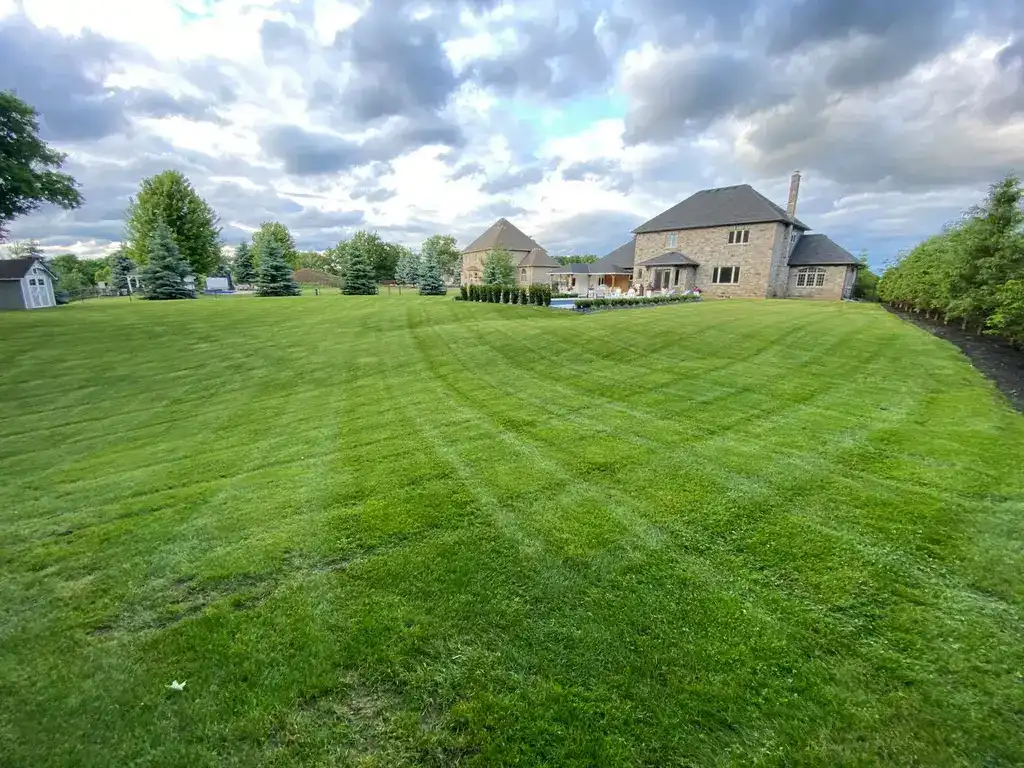 Falcons Landscaping residential lawn care service showcasing a professionally mowed lawn in front of a luxury home in Mississauga.