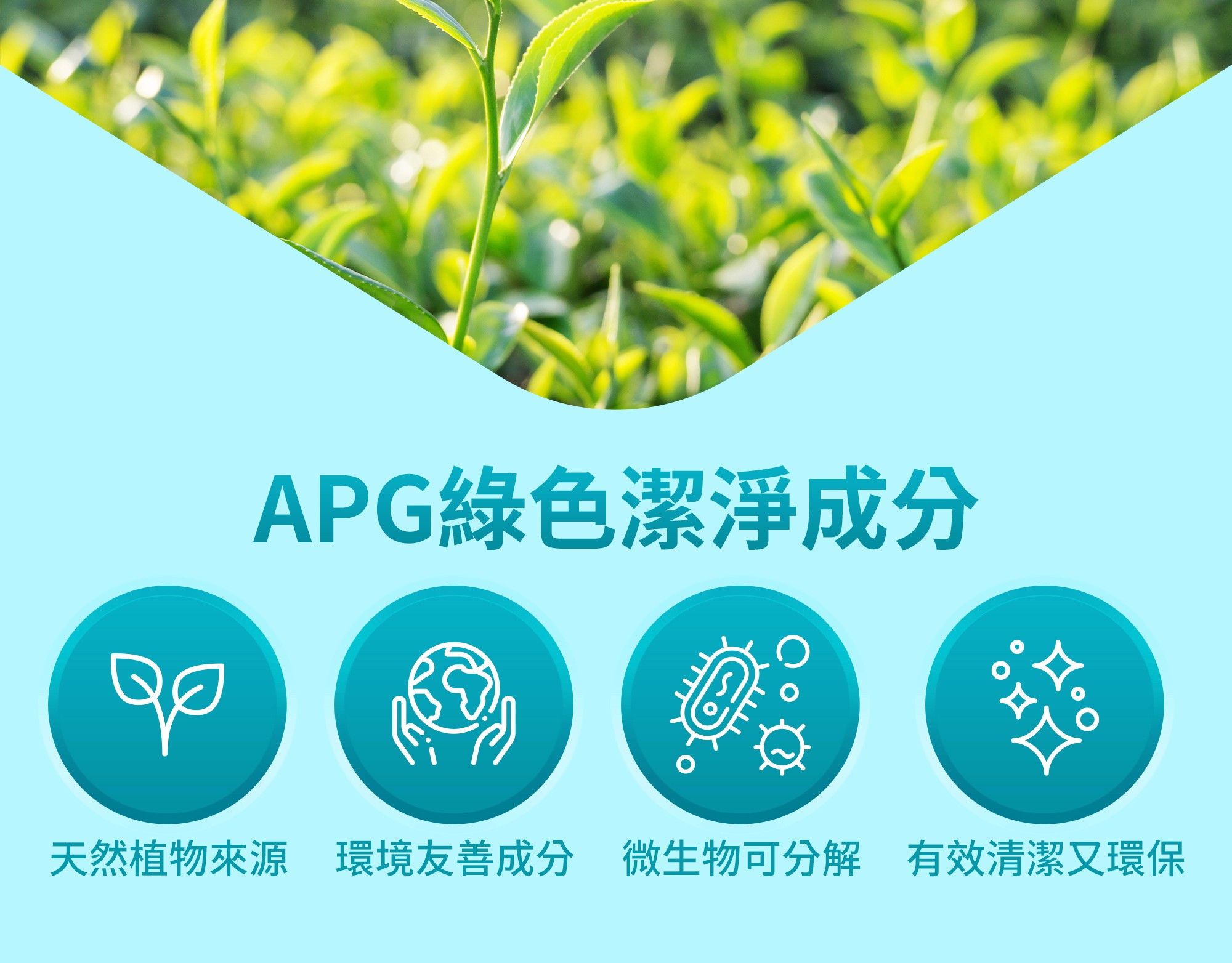 歐盟標準天然綠色潔淨成分APG